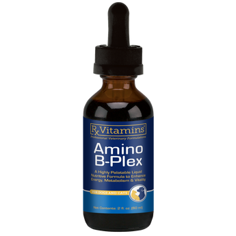 Bottle of Rx-Vitamins Amino B-Plex