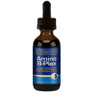 Bottle of Rx Vitamins Amino B-Plex