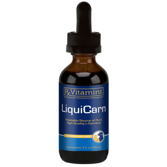 LiquiCarn