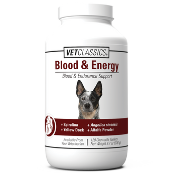 Blood & Energy