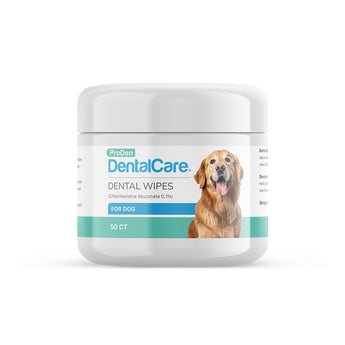 ProDen DentalCare dental wipes container with a dog on the label