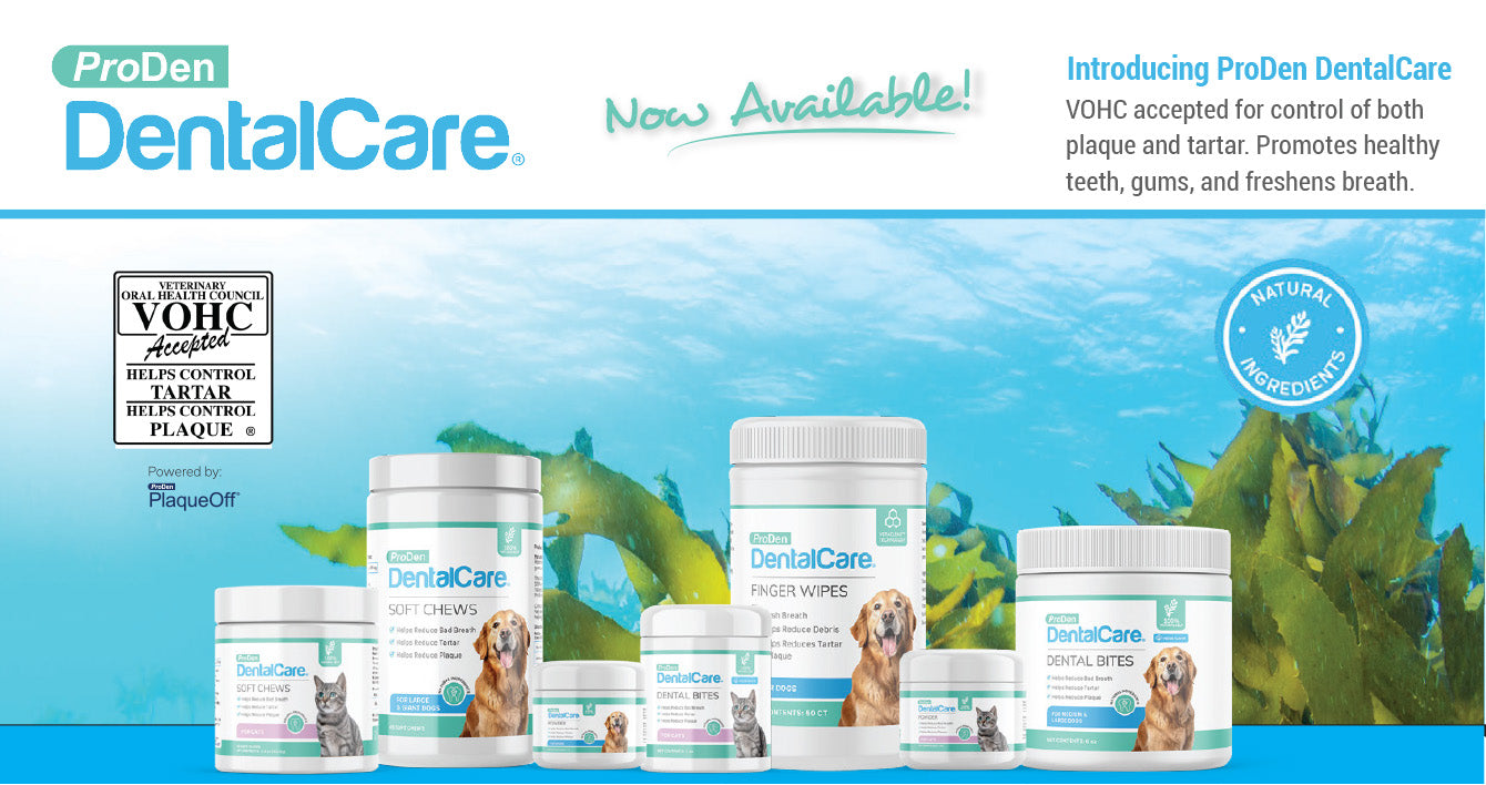 ProDen DentalCare product line banner