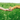 Handshake between a person and a dog's paw in a grassy field