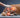 Osteoarthritis in Dogs and Cats: Nutritional Joint Support with CadaFlex®