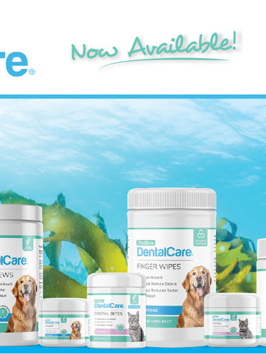 ProDen DentalCare product line banner