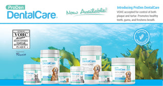 ProDen DentalCare product line banner