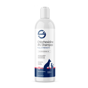 Bottle of Chlorhexidine 4% Shampoo 