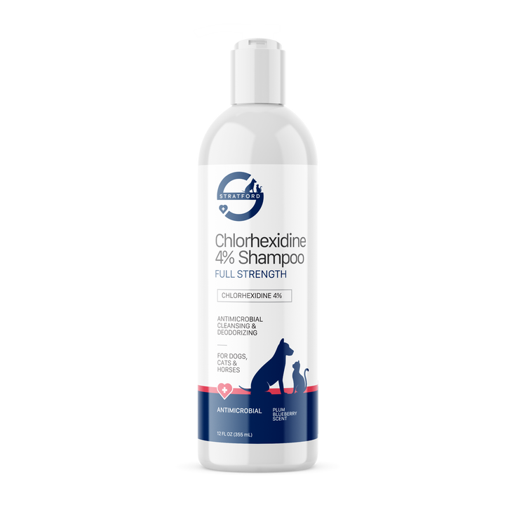 Bottle of Chlorhexidine 4% Shampoo 