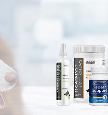 Dog products including bottles
