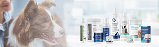 Dog products including bottles