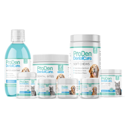 ProDen DentalCare®